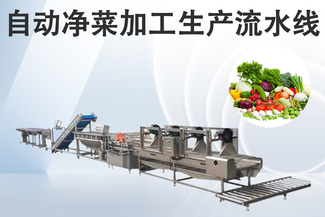 净菜加工流水线